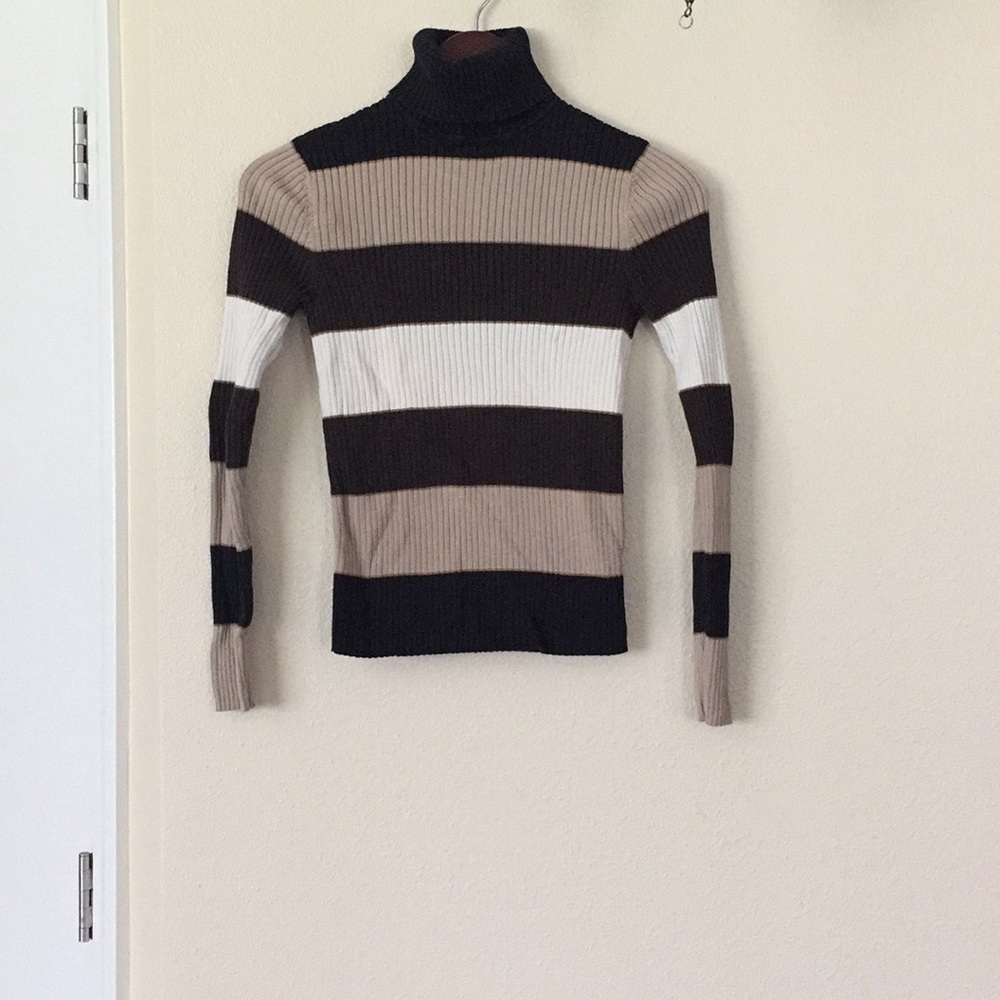 The limited turtleneck sweater
